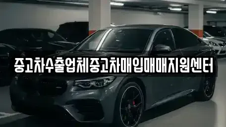 전라남도 고흥군 고흥읍 중고차매입 전문 중고차수출업체중고차매입매매지원센터