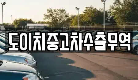 전라남도 나주시 금계동 중고차매매 전문 도이치중고차수출무역