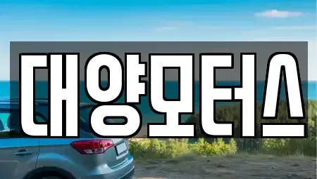 전라남도 담양군 대덕면 중고차 전문 대양모터스