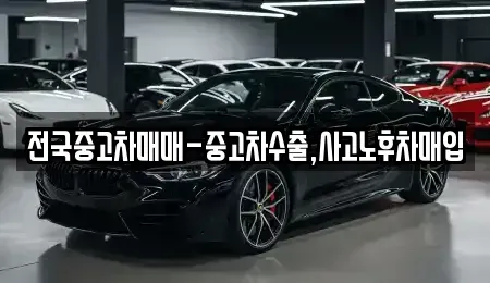 전라남도 목포시 북교동 중고차매입 전문 전국중고차매매-중고차수출,사고노후차매입