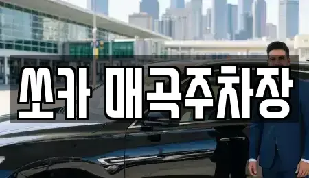 전라남도 순천시 금곡동 렌트카 전문 쏘카 매곡주차장