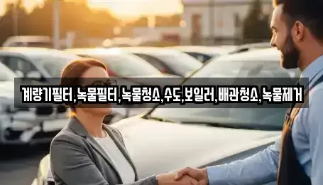 전라남도 순천시 서면 렌트카 전문 계량기필터,녹물필터,녹물청소,수도,보일러,배관청소,녹물제거