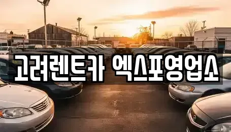 전라남도 여수시 봉강동 렌트카 전문 고려렌트카 엑스포영업소