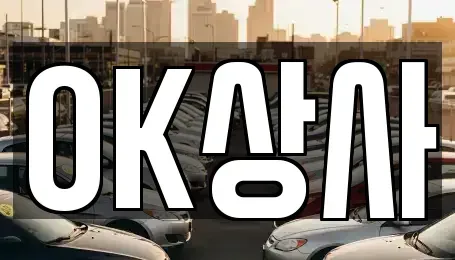 전라남도 여수시 선원동 중고차매매 전문 OK상사