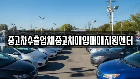 전라남도 여수시 선원동 중고차매입 전문 중고차수출업체중고차매입매매지원센터