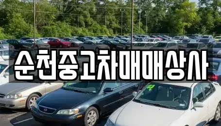 전라남도 완도군 금일읍 중고차,렌트카,중고차매입,중고차매매,장기렌트카,단기렌트카