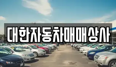 전라남도 화순군 화순읍 중고차 전문 대한자동차매매상사