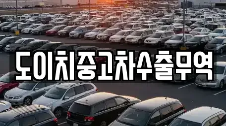 전라남도 화순군 화순읍 중고차 전문 도이치중고차수출무역