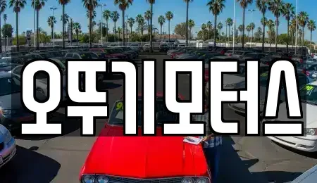 전라남도 화순군 화순읍 중고차 전문 오뚜기모터스
