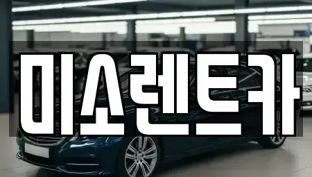 전북 군산시 옥구읍 렌트카 전문 미소렌트카