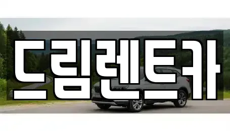 전북 전주시 덕진구 덕진동2가 렌트카 전문 드림렌트카
