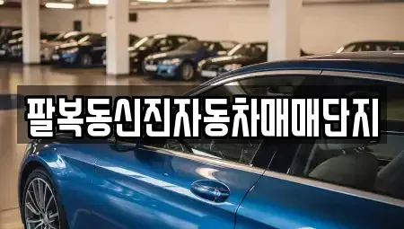 전북 전주시 덕진구 덕진동2가 중고차매매 전문 팔복동신진자동차매매단지