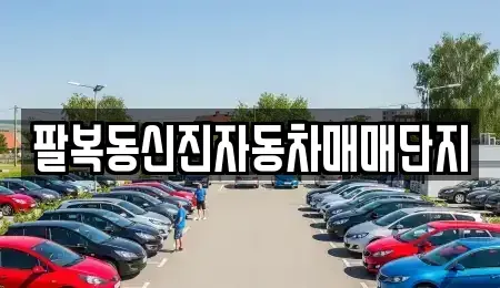 전북 전주시 덕진구 중고차 전문 팔복동신진자동차매매단지