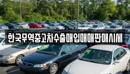 전북 전주시 완산구 색장동 중고차 전문 한국무역중고차수출매입매매판매시세