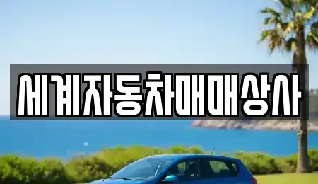 전북 전주시 완산구 효자동2가 중고차 전문 세계자동차매매상사