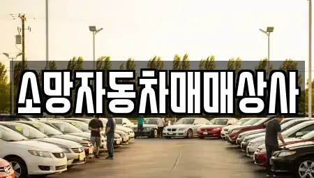 전북 전주시 완산구 효자동2가 중고차 전문 소망자동차매매상사