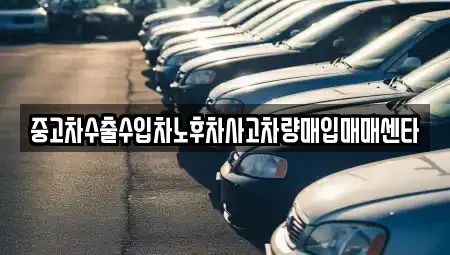 전북특별자치도 고창군 대산면 중고차매입 전문 중고차수출수입차노후차사고차량매입매매센타