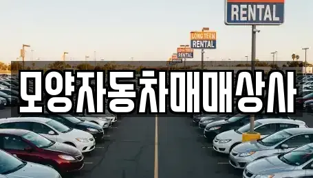 전북특별자치도 고창군 중고차 전문 모양자동차매매상사