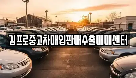 전북특별자치도 고창군 중고차매입 전문 김프로중고차매입판매수출매매센터