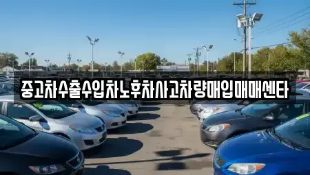 전북특별자치도 고창군 중고차매입 전문 중고차수출수입차노후차사고차량매입매매센타