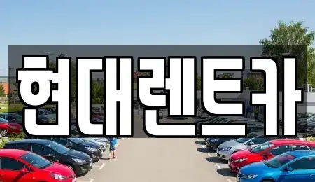 전북특별자치도 군산시 사정동 렌트카,단기렌트카,장기렌트카,중고차,중고차매매,중고차매입