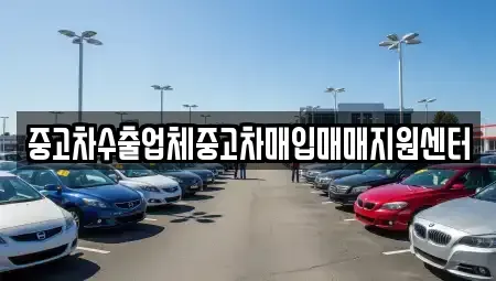 전북특별자치도 군산시 사정동 중고차매입 전문 중고차수출업체중고차매입매매지원센터