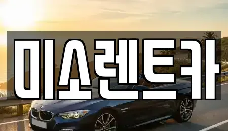 전북특별자치도 군산시 지곡동 렌트카 전문 미소렌트카