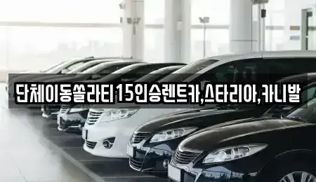 전북특별자치도 군산시 평화동 렌트카 전문 단체이동쏠라티15인승렌트카,스타리아,카니발