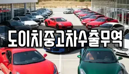 전북특별자치도 군산시 평화동 중고차 전문 도이치중고차수출무역
