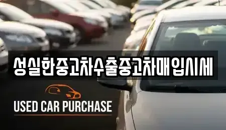 전북특별자치도 순창군 유등면 중고차매입 전문 성실한중고차수출중고차매입시세