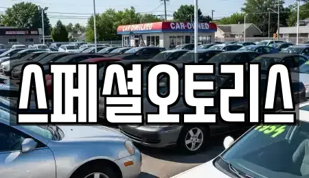 전북특별자치도 익산시 동산동 렌트카 전문 스페셜오토리스