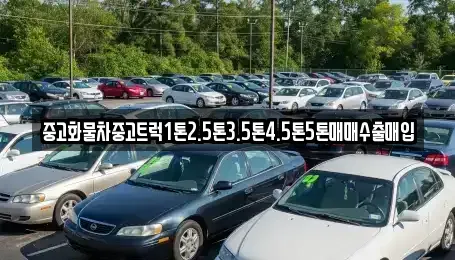 전북특별자치도 익산시 동산동 단기렌트카,중고차매입,중고차매매,중고차,렌트카,장기렌트카