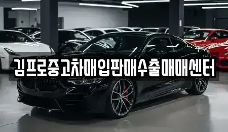 전북특별자치도 임실군 임실읍 중고차 전문 김프로중고차매입판매수출매매센터