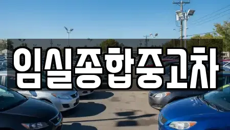 전북특별자치도 임실군 임실읍 중고차,렌트카,중고차매입,중고차매매,장기렌트카,단기렌트카