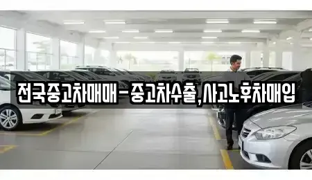 전북특별자치도 전주시 덕진구 도도동 중고차매매 전문 전국중고차매매-중고차수출,사고노후차매입