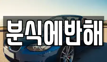 전북특별자치도 전주시 덕진구 도도동 중고차매입 전문 분식에반해
