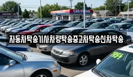 전북특별자치도 전주시 덕진구 산정동 중고차 전문 자동차탁송기사차량탁송중고차탁송신차탁송