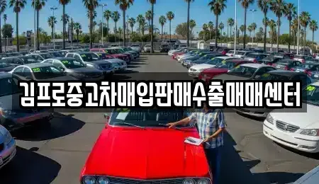전북특별자치도 전주시 덕진구 중고차매입 전문 김프로중고차매입판매수출매매센터