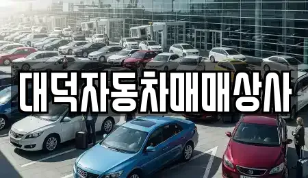 전북특별자치도 전주시 덕진구 호성동2가 중고차 전문 대덕자동차매매상사