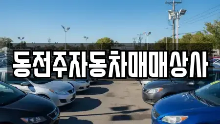 전북특별자치도 전주시 덕진구 호성동2가 중고차 전문 동전주자동차매매상사