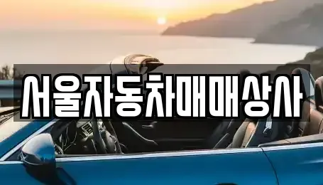 전북특별자치도 전주시 덕진구 호성동2가 중고차 전문 서울자동차매매상사