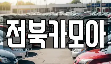 전북특별자치도 전주시 덕진구 호성동2가 중고차 전문 전북카모아
