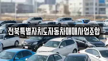 전북특별자치도 전주시 덕진구 호성동2가 중고차 전문 전북특별자치도자동차매매사업조합