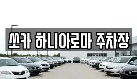 제주 서귀포시 서귀동 렌트카 전문 쏘카 하니아로마 주차장