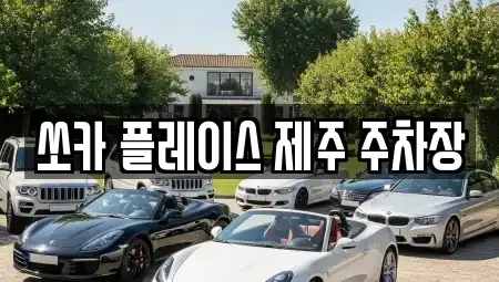제주 서귀포시 성산읍 렌트카 전문 쏘카 플레이스 제주 주차장