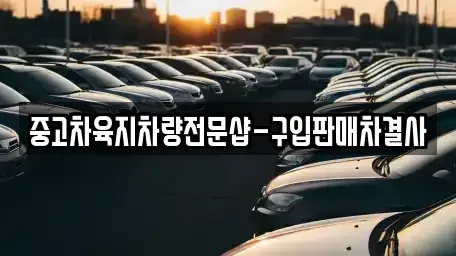 제주 서귀포시 성산읍 중고차매매 전문 중고차육지차량전문샵-구입판매차결사