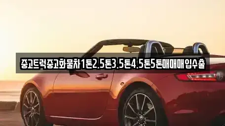 제주 서귀포시 성산읍 단기렌트카,중고차매입,중고차매매,중고차,렌트카,장기렌트카