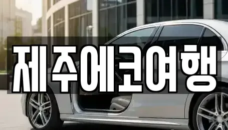 제주 제주시 화북이동 렌트카 전문 제주에코여행