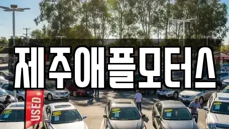 제주 제주시 화북이동 중고차 전문 제주애플모터스