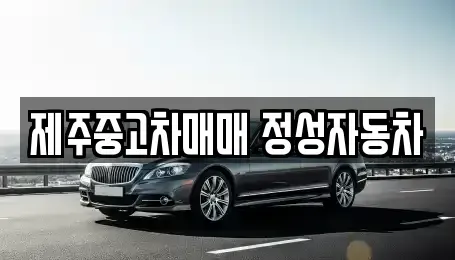 제주 제주시 화북이동 중고차 전문 제주중고차매매 정성자동차